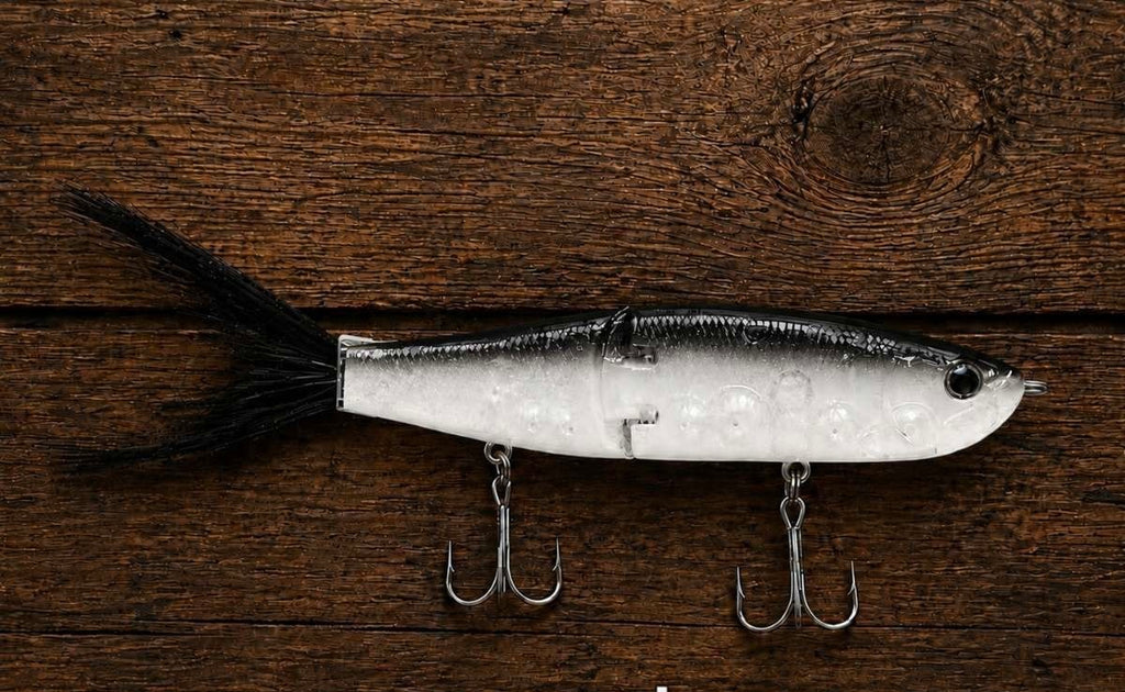 8 inch Suncoast Ladyfish
